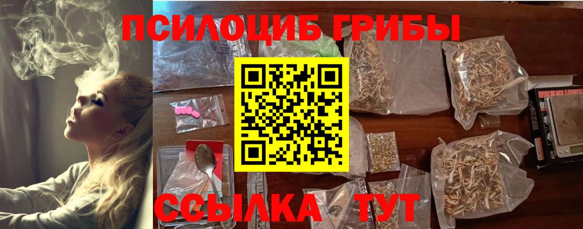 Галлюциногенные грибы прущие грибы Зерноград